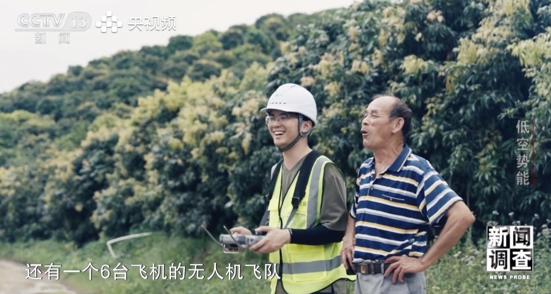 央视报道桂鸟先飞团队