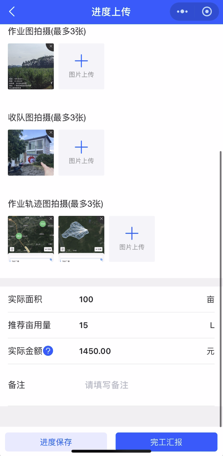 桂鸟先飞飞手端上报